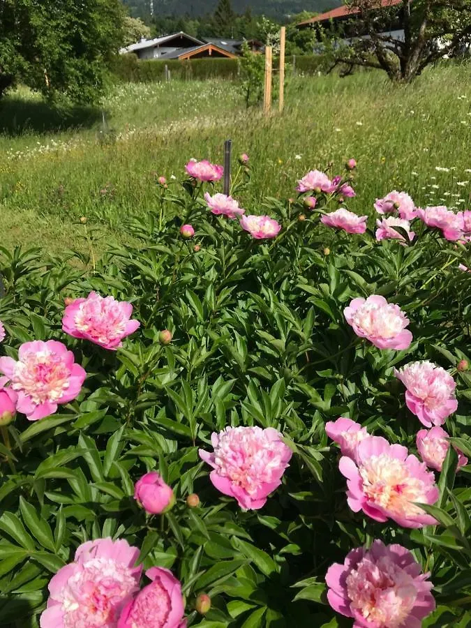 Gastezimmer Hanottenlehen Schoenau am Koenigsee